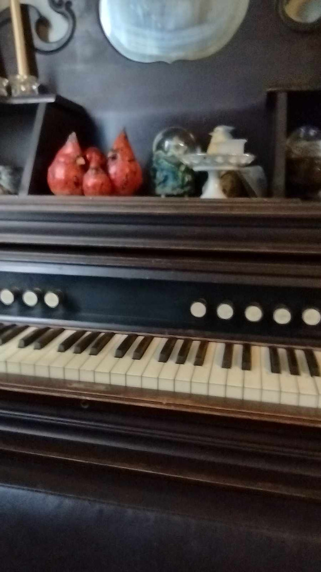 Antique Organ in Pianos & Keyboards in St. John's - Image 4