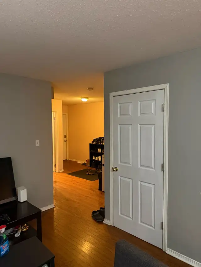  cleaning service64661851954690122