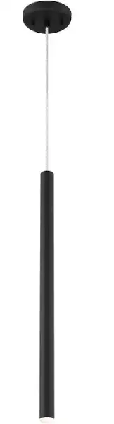 Z-Lite Forest LED 1 Light Mini Pendant in Matte Black, $35, View more