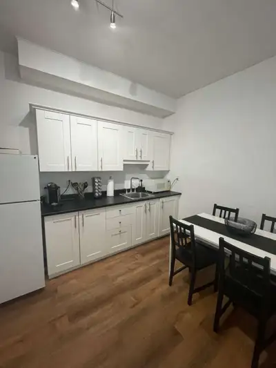 Spacious 3 1/2 apartment for rent in MTL