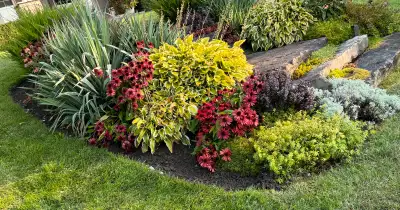 Garden Services , View more