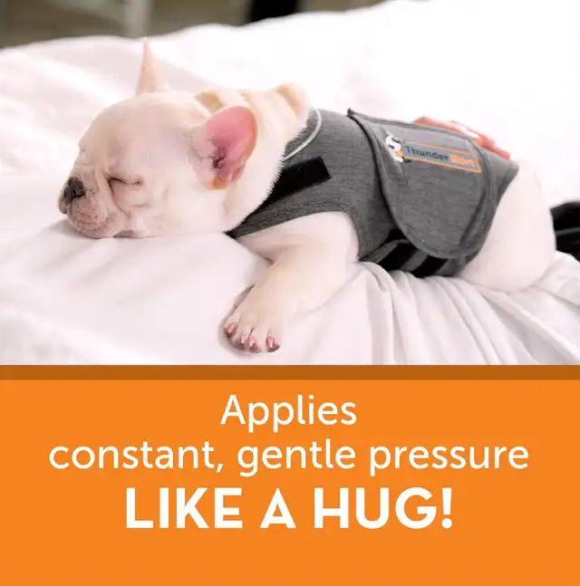 Thunder Shirt - Anxiety Shirt for dogs in Accessories in City of Toronto - Image 4