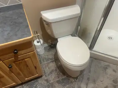 I have a white 2 piece toilet that I removed from my cabin. I put it in the box from my new toilet....