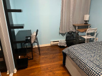 Room for Rent Female Only May 1st