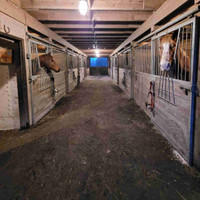 Indoor fullcare horse board
