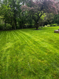North York Lawn Care & Maintenance services | 6472740770