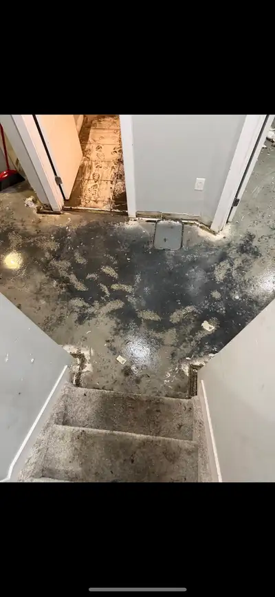 YEG FIX - BASEMENT FLOODING EDMONTON, View more