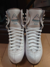 Skating Shoes Jackson Glacier520