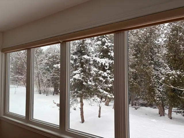 New Maxxmar Light Filtering Roller Shades63611958510337122