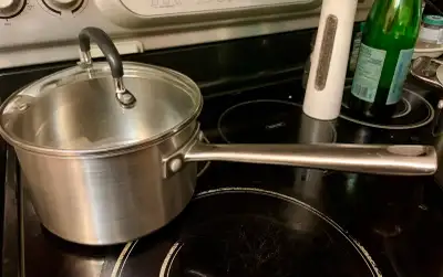 Stainless Steel Sauce Pot (8 Cups), View more