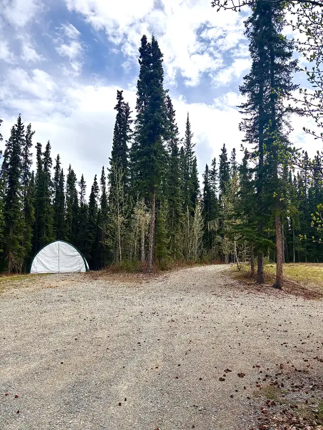 Property for Sale-Prime acreage Cousins Airstrip Whitehorse area in Land for Sale in Whitehorse - Image 6