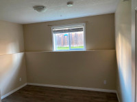 2 bedroom lower suite(almost same as first floor) for rent