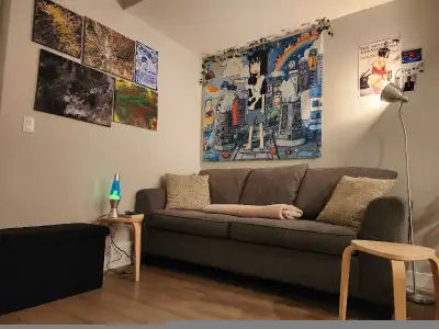 Incredibly affordable and spacious 2 bed / 2 full bathroom basment suite. $1100 monthly + $150 flate...