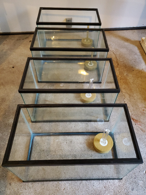 5 gallon fish aquarium (x4) + gravel (natural, and blue) Accessories