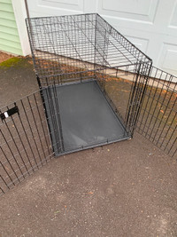 Grande cage pour chien