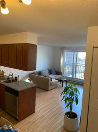 1 Bed Modern Condo - 1225 Notre Dame Ouest