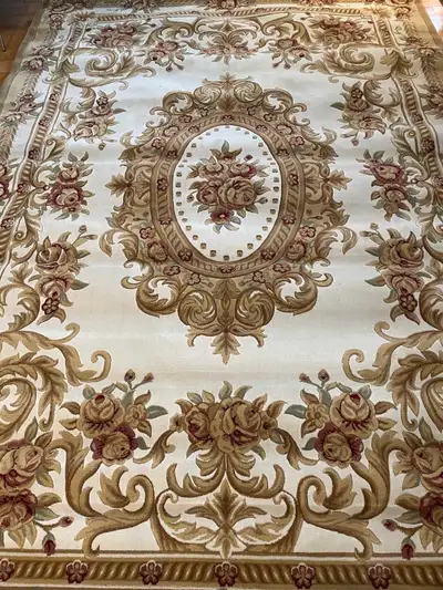 Brand new area rug 8x11'10"ft 