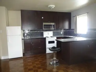 Beltline renovated 1 bedroom condo parkg $1395/m + electricity