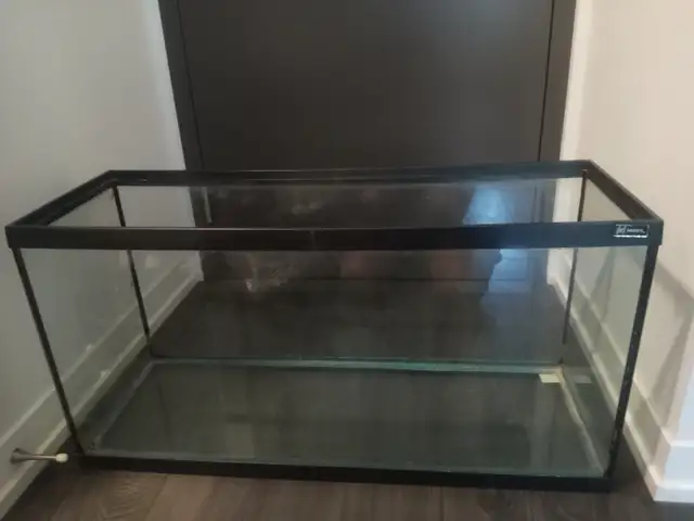 35 Gallon Tank For Sale in Other in Hamilton - Image 2
