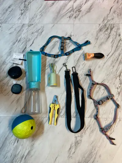 Small dog accessories , View more