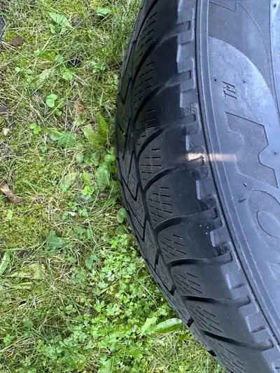 Winter tires 225/55 R19