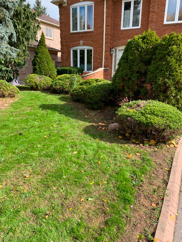 Affordable Lawn Care & Cleaning - Newmarket, Aurora, Oak Ridges in Lawn, Tree Maintenance & Eavestrough in Markham / York Region