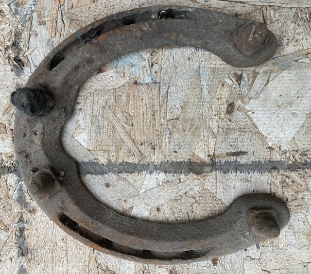 Horse Shoes in Other in Regina - Image 4