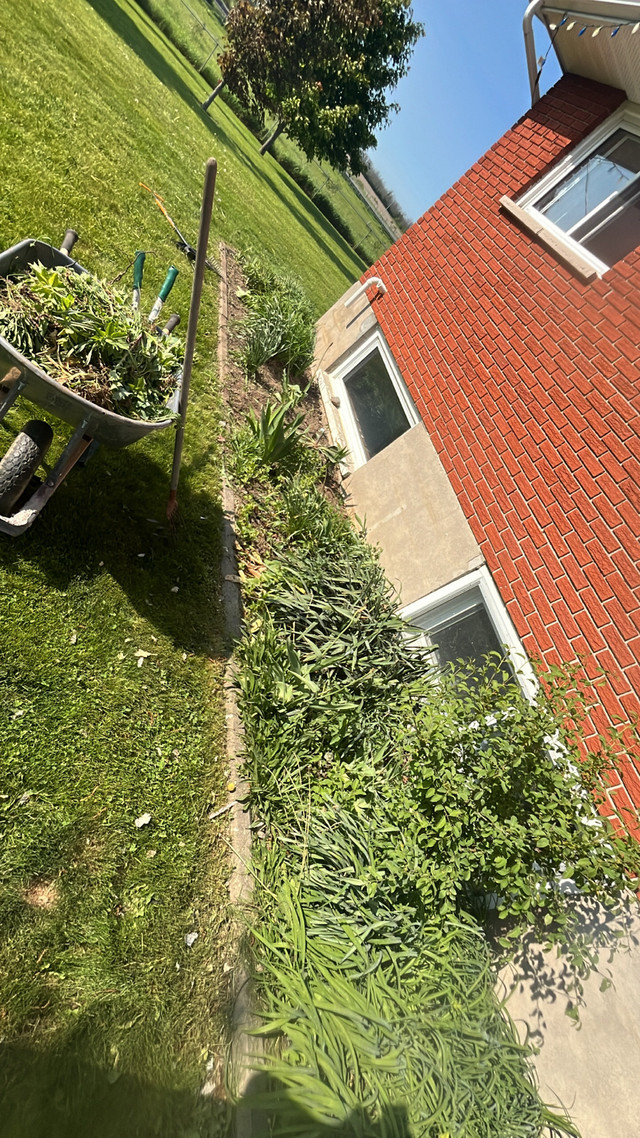 Lawn Care Service  in Lawn, Tree Maintenance & Eavestrough in Belleville - Image 3