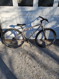 GT Bike Peace 9R 29'' Wheel Gray single speed bicycle