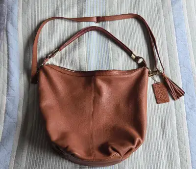 Danier Pebbled Leather Hobo Bag, View more