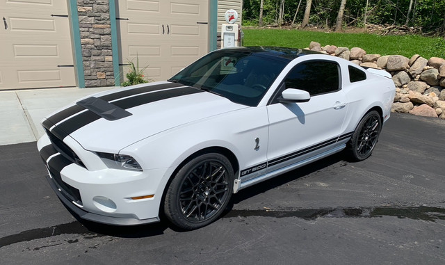 2014 Ford Mustang Shelby GT500 Coupe in Cars & Trucks in St. Albert - Image 2