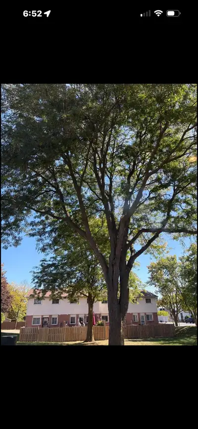 One room available in a 3 bedroom house