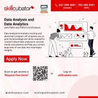 Data Analysis Training and Placement Program (IIBA-Approved )