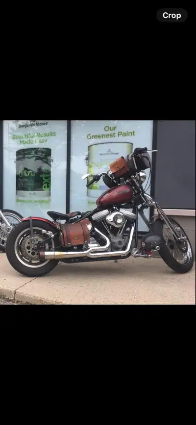1999 Harley Davidson Softail (special construction) ,6 speed Baker transmission, plus 2 over Paughco...