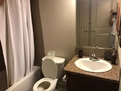 Walkout basement for rent - 1 Bedroom, Kitchen, Living Room, Full Bathroom, Storage Room, Separate L...