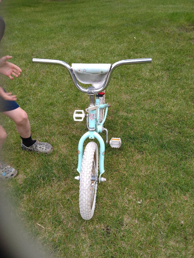 Girls Trek Bike in Kids in Winnipeg