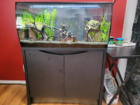Fluval Flex 34.5 gal (123L) Freshwater Aquarium For Sale
