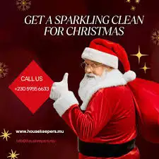 Santa went down the wrong chimney, View more