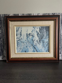 Beautiful framed snowy owl picture 