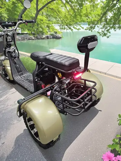 Experience freedom and stability every day with the Youpi Premium Electric Trike, built for all seas...