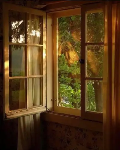 Holistic Roots- Healing Hands Massage , View more
