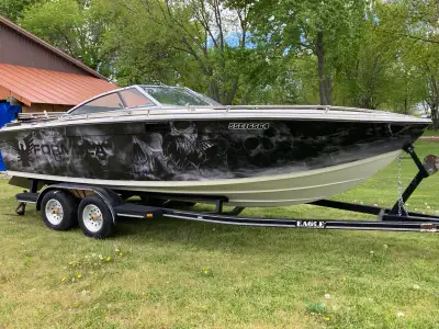 1982 Formula LS3 One of a kind wrap put on boat. It has a 260 Mercury motor. Has full cover and a Bi...