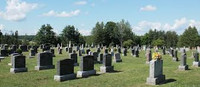 Cemetery plots