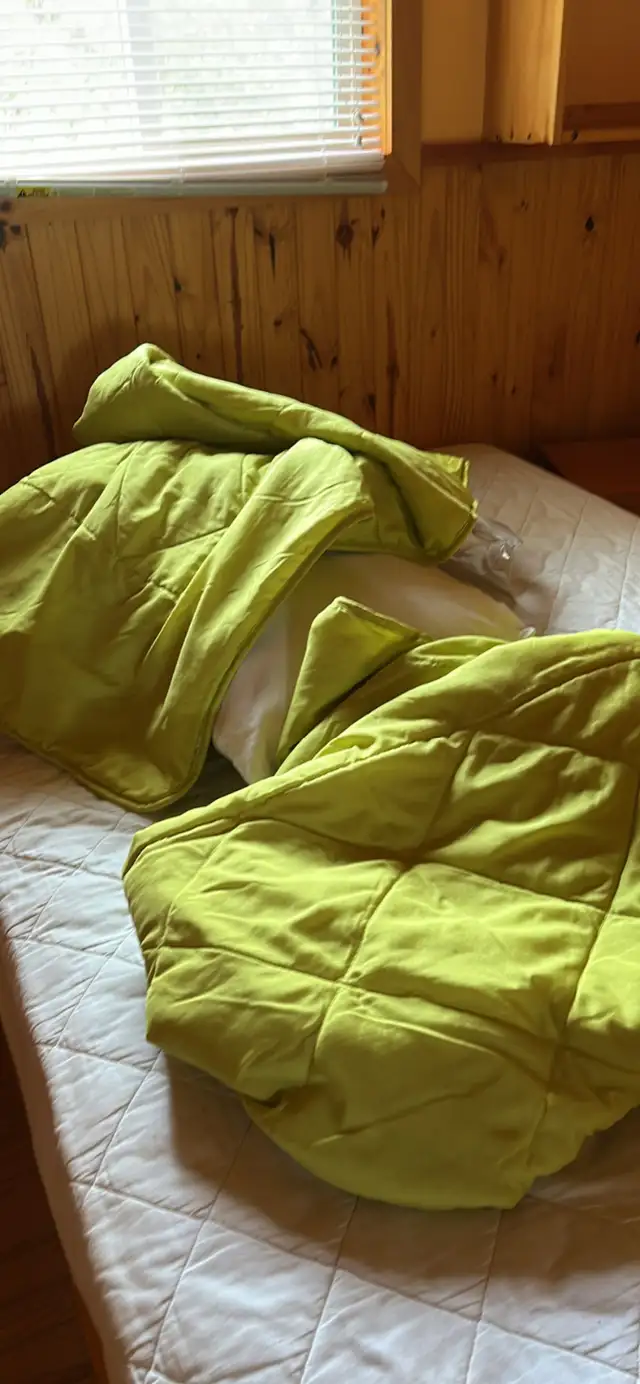 Comforters and blankets double and single $20 each in Bedding in Peterborough - Image 7