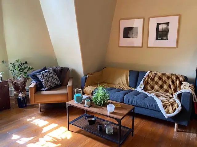 RM wanted In 3 Bedroom Victorian Downtown Apartment in Room Rentals & Roommates in St. John's - Image 6