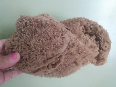 Sea sponge/ bathroom or shower sponge, View more