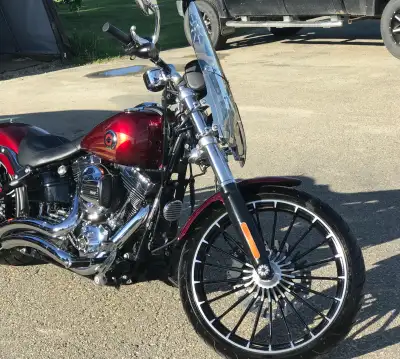 My beautiful baby doesn’t get riden enough. My husband sold his bike so now I have no one to ride wi...