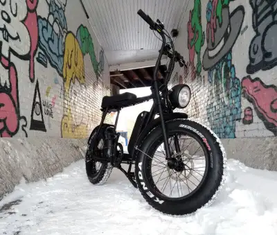 We're selling powerful fat tire ebikes. They have strong and dependable 750 watt gear hub motor made...