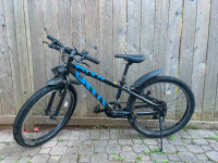 Blue and Black Mountain Child Bike