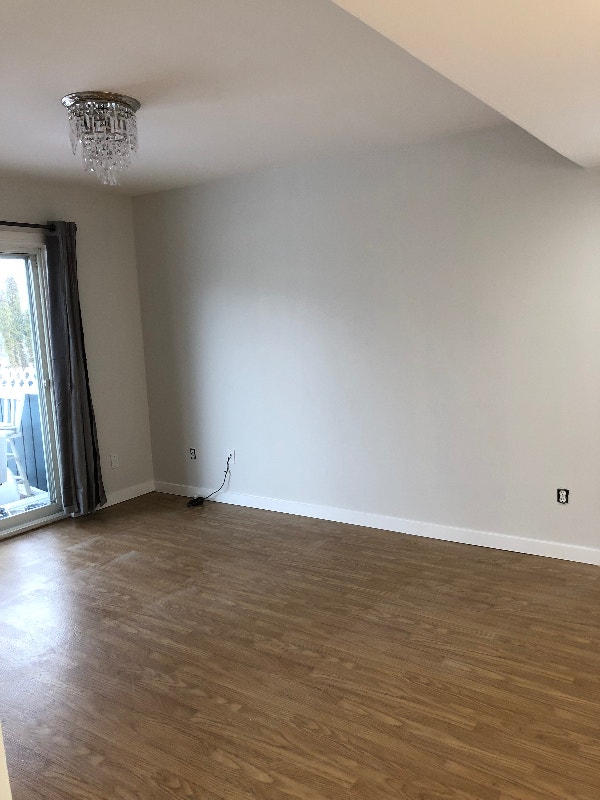 1 Bdr Daylight Basement Suite Long Term Rentals Kamloops Kijiji